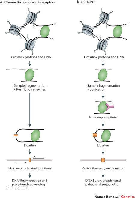 二代測序方法集錦三dna測序之chipseq